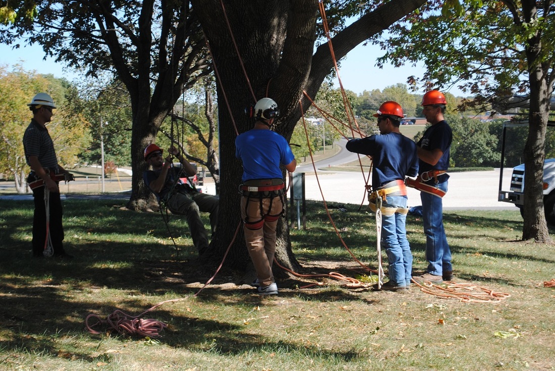 Arborist Training Program - KANSAS ARBORISTS ASSOCIATION